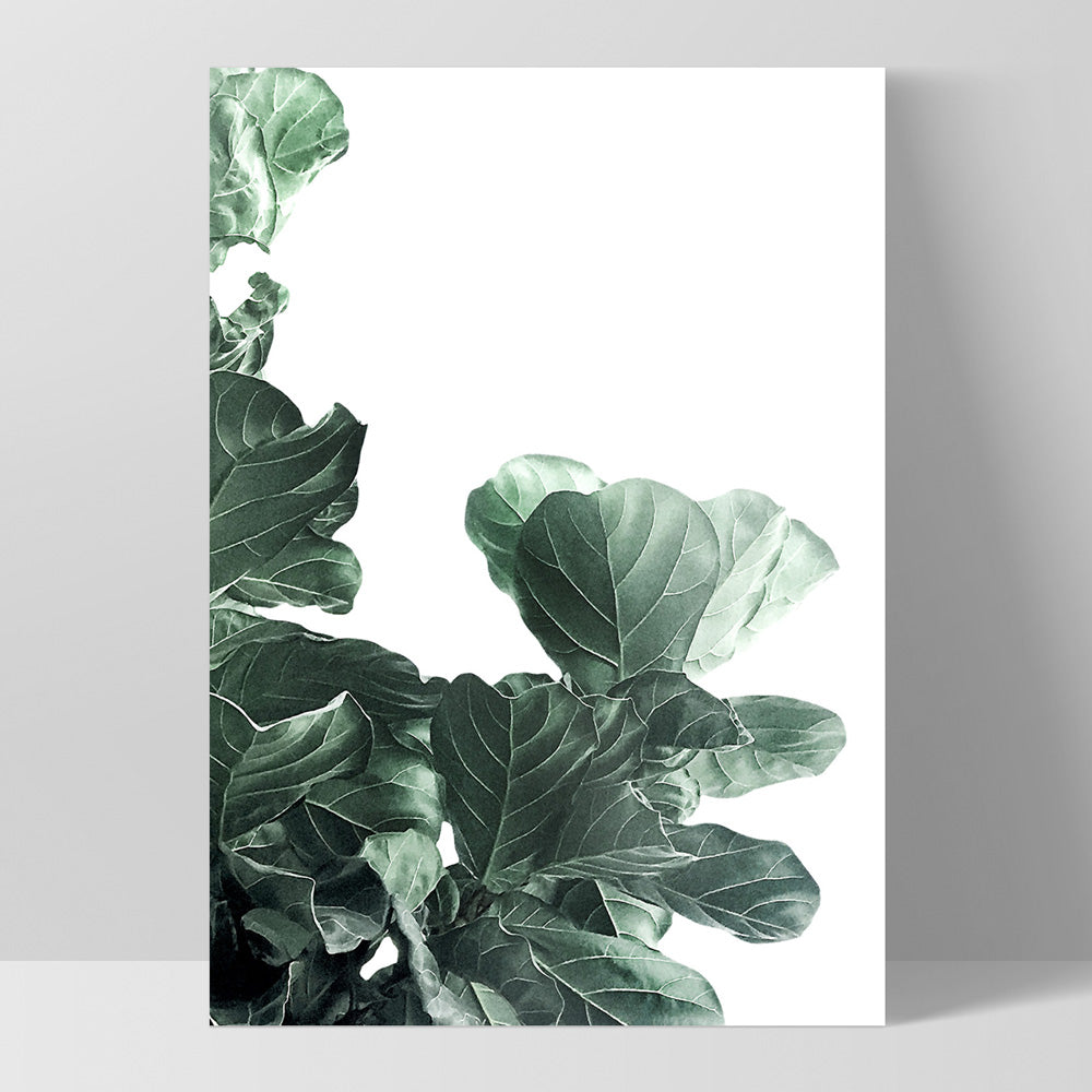 fiddle leaf fig print Fiddle Leaf Fig III Print. Watercolour Botanical Wall Art – Print and  Proper®