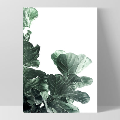 Fiddle Leaf Fig Watercolour III - Art Print, Poster, Stretched Canvas, or Framed Wall Art Print, shown as a stretched canvas or poster without a frame