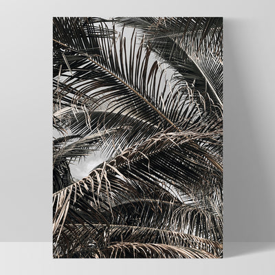 Monochrome Palm View - Art Print, Poster, Stretched Canvas, or Framed Wall Art Print, shown as a stretched canvas or poster without a frame