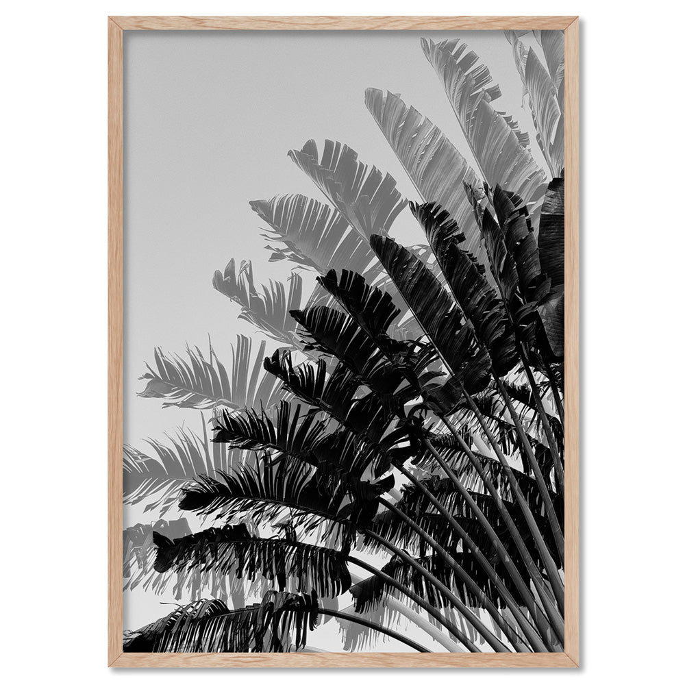 Banana Leaves Palm I | Black & White - Art Print, Poster, Stretched Canvas, or Framed Wall Art Print, shown in a natural timber frame