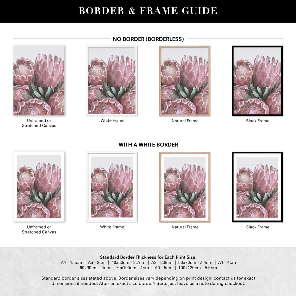 Queen Protea Stack - Art Print, Poster, Stretched Canvas or Framed Wall Art, Showing White , Black, Natural Frame Colours, No Frame (Unframed) or Stretched Canvas, and With or Without White Borders