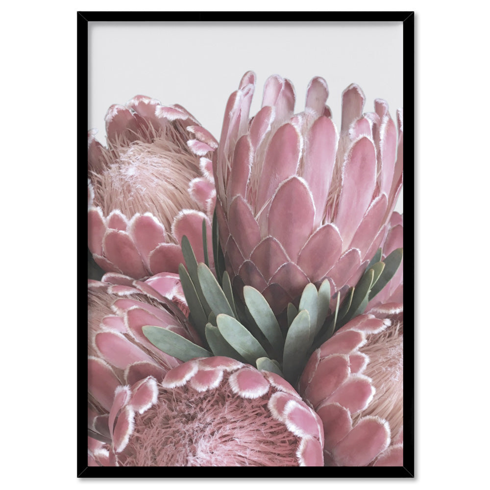 Queen Protea Stack - Art Print, Poster, Stretched Canvas, or Framed Wall Art Print, shown in a black frame