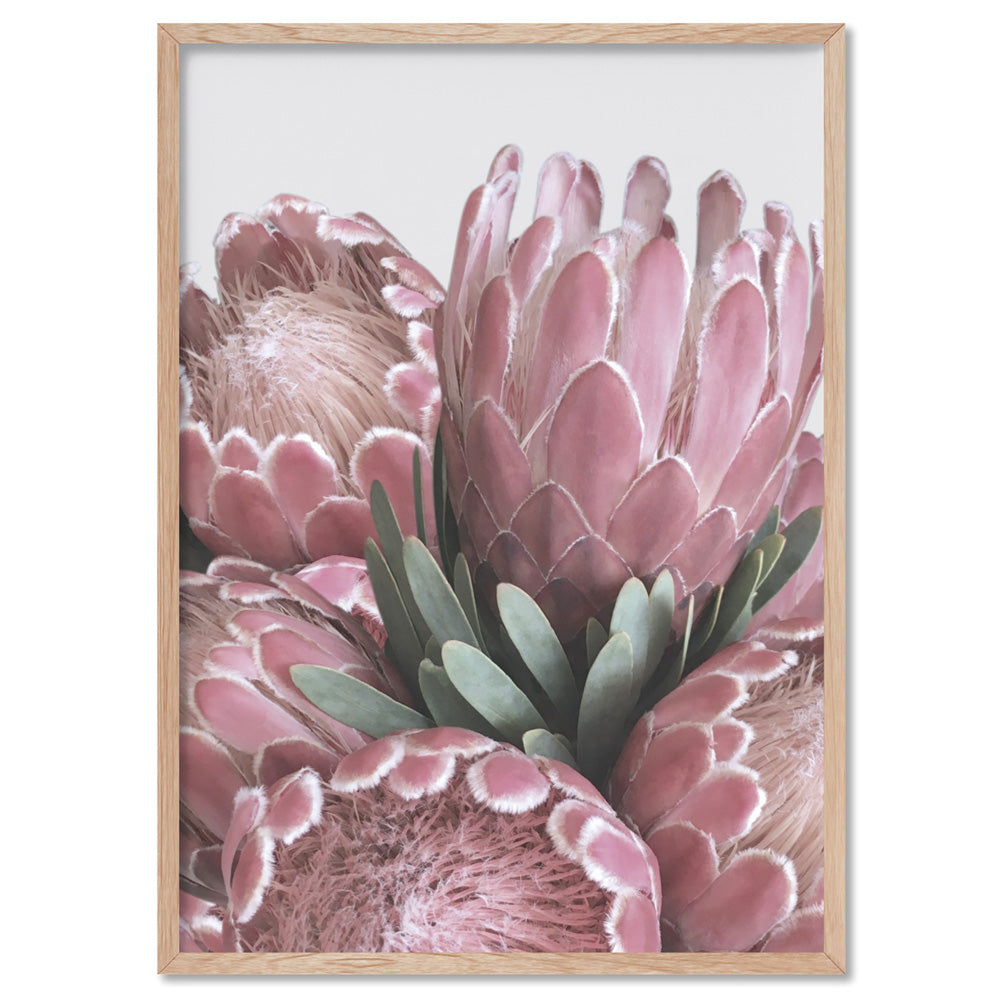 Queen Protea Stack - Art Print, Poster, Stretched Canvas, or Framed Wall Art Print, shown in a natural timber frame