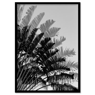 Banana Leaves Palm II | Black & White - Art Print, Poster, Stretched Canvas, or Framed Wall Art Print, shown in a black frame