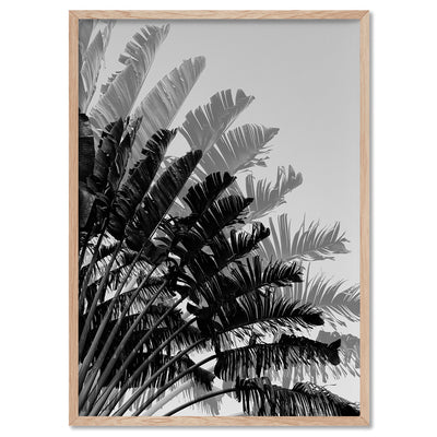 Banana Leaves Palm II | Black & White - Art Print, Poster, Stretched Canvas, or Framed Wall Art Print, shown in a natural timber frame