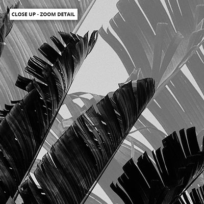 Banana Leaves Palm II | Black & White - Art Print, Poster, Stretched Canvas or Framed Wall Art, Close up View of Print Resolution