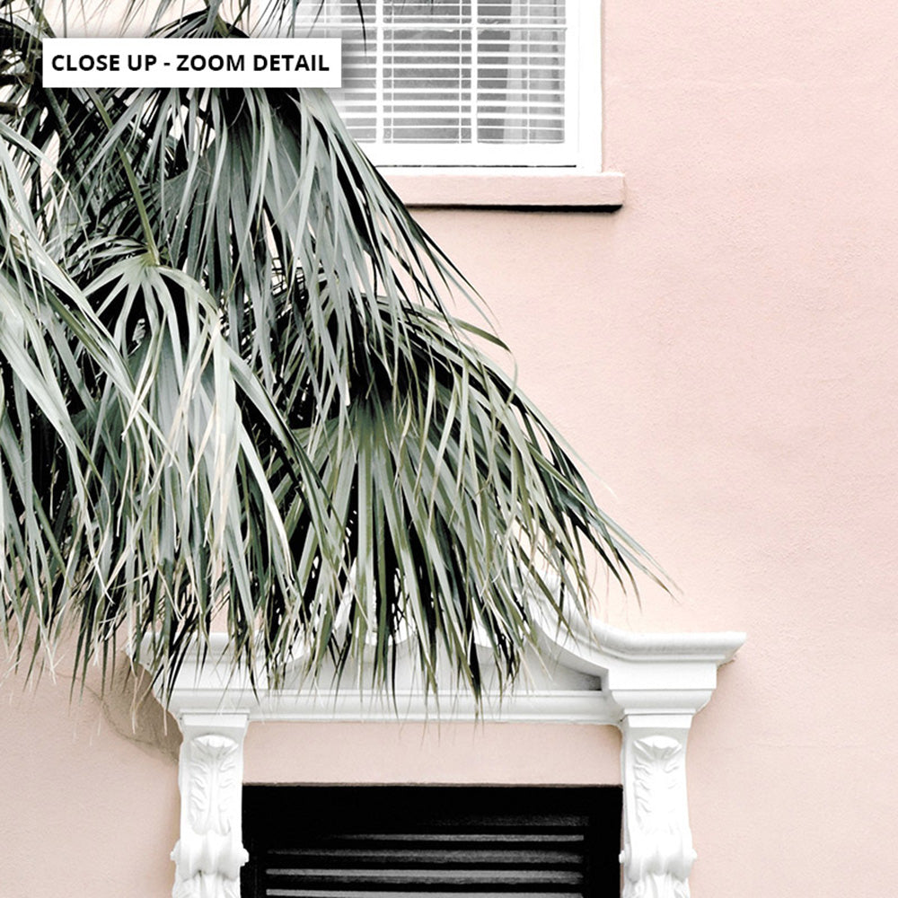 Palm Villa Doorway | Blush - Art Print, Poster, Stretched Canvas or Framed Wall Art, Close up View of Print Resolution