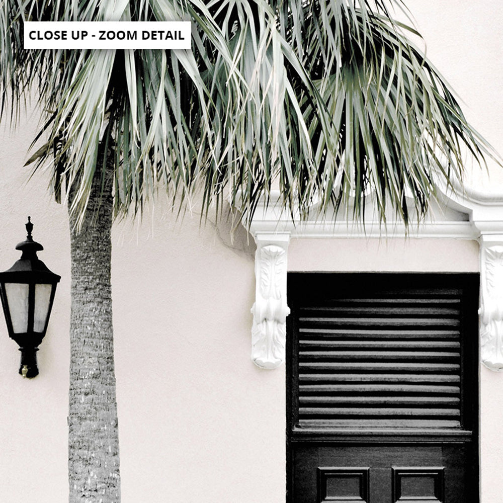 Palm Villa Doorway | Eggshell - Art Print, Poster, Stretched Canvas or Framed Wall Art, Close up View of Print Resolution