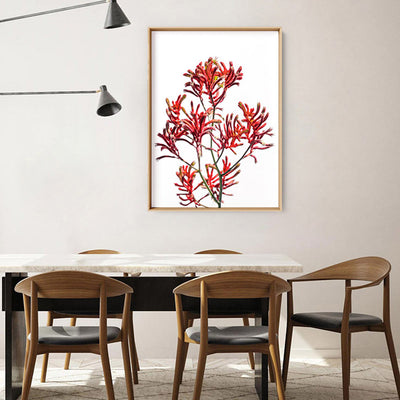 Kangaroo Paw in Red - Art Print, Poster, Stretched Canvas or Framed Wall Art Prints, shown framed in a room