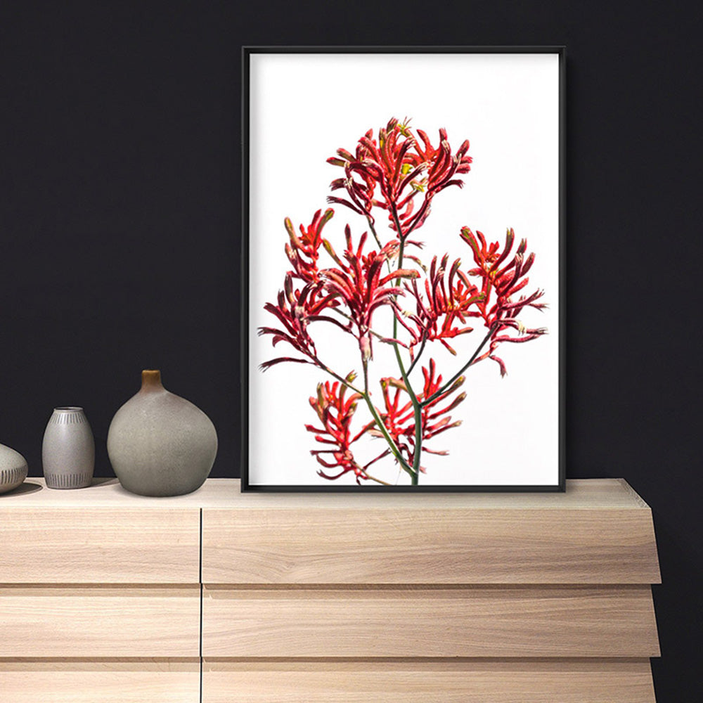 Kangaroo Paw in Red - Art Print, Poster, Stretched Canvas or Framed Wall Art, shown framed in a home interior space