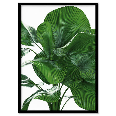 Fan Palm Leaves - Art Print, Poster, Stretched Canvas, or Framed Wall Art Print, shown in a black frame