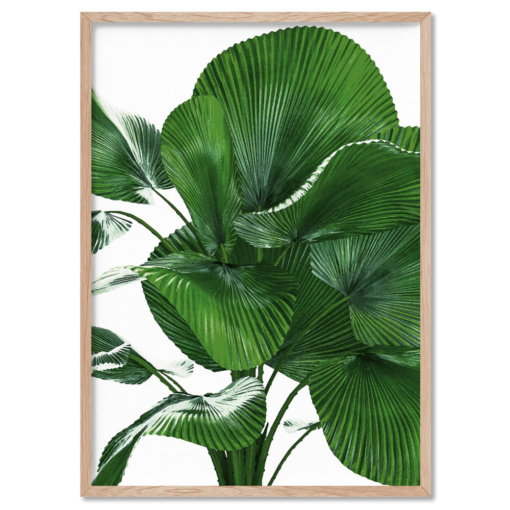 Fan Palm Leaves - Art Print, Poster, Stretched Canvas, or Framed Wall Art Print, shown in a natural timber frame