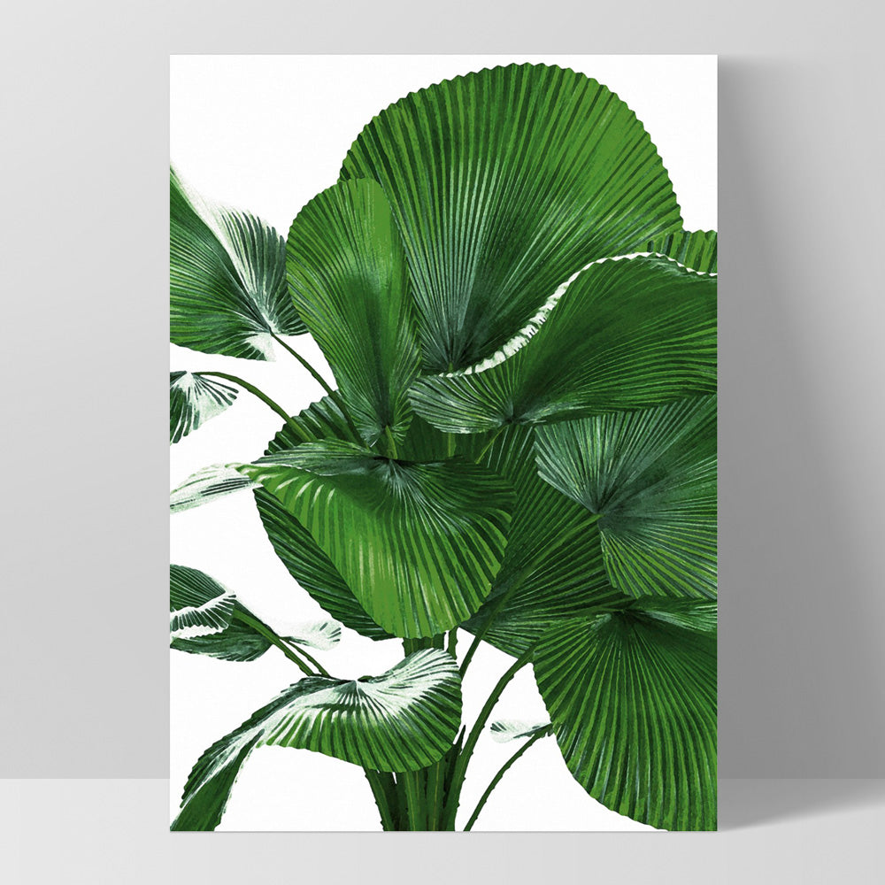 Fan Palm Leaves - Art Print, Poster, Stretched Canvas, or Framed Wall Art Print, shown as a stretched canvas or poster without a frame