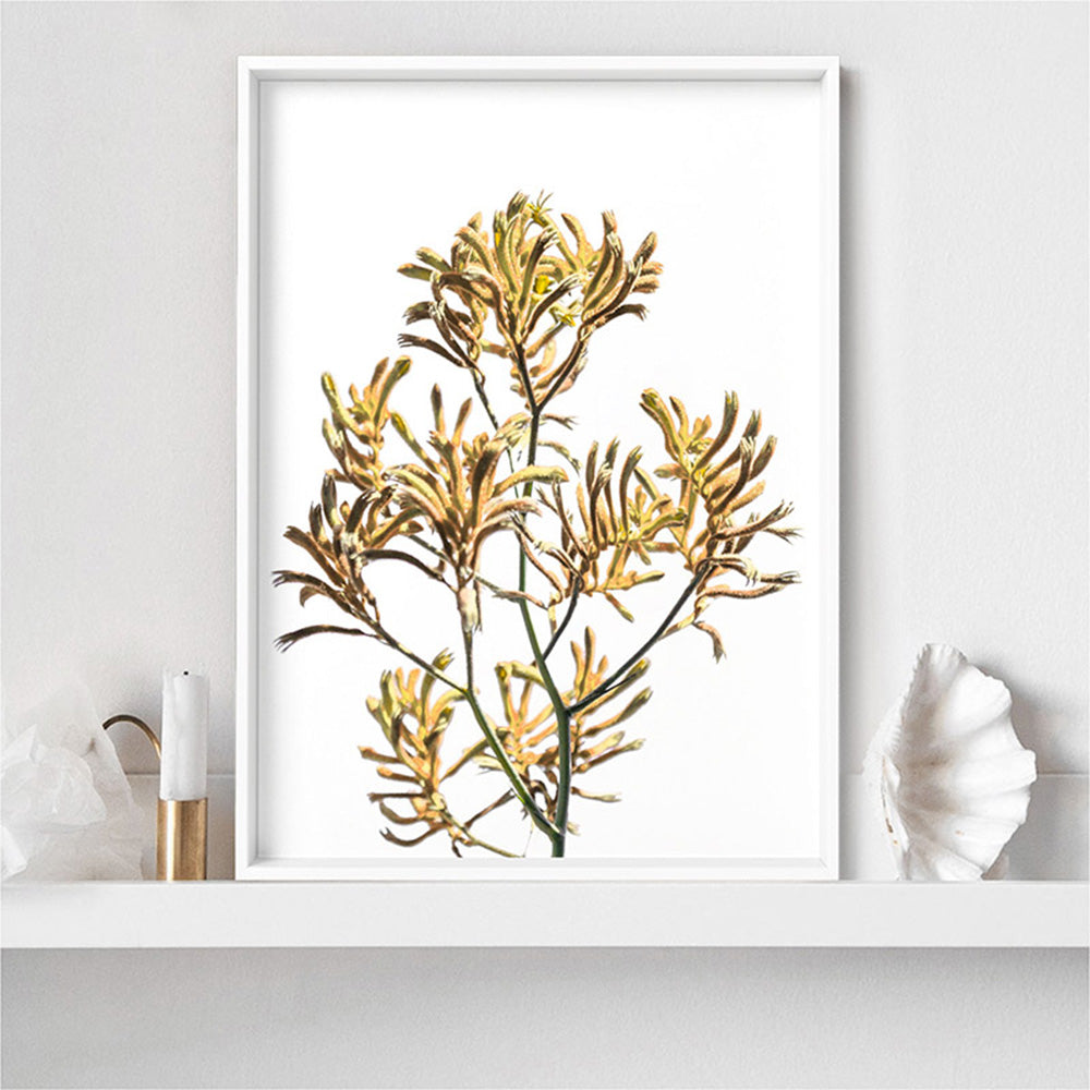 Kangaroo Paw in Yellow - Art Print, Poster, Stretched Canvas or Framed Wall Art Prints, shown framed in a room