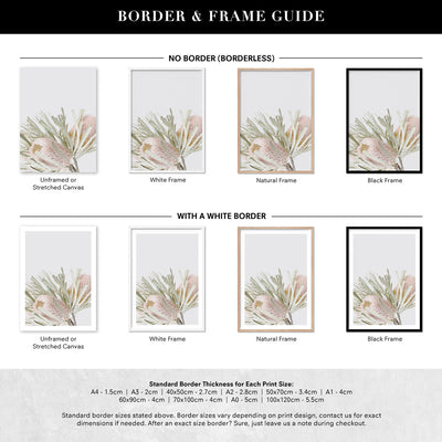 Pastel Banksias Blush I - Art Print, Poster, Stretched Canvas or Framed Wall Art, Showing White , Black, Natural Frame Colours, No Frame (Unframed) or Stretched Canvas, and With or Without White Borders