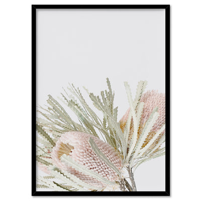 Pastel Banksias Blush I - Art Print, Poster, Stretched Canvas, or Framed Wall Art Print, shown in a black frame