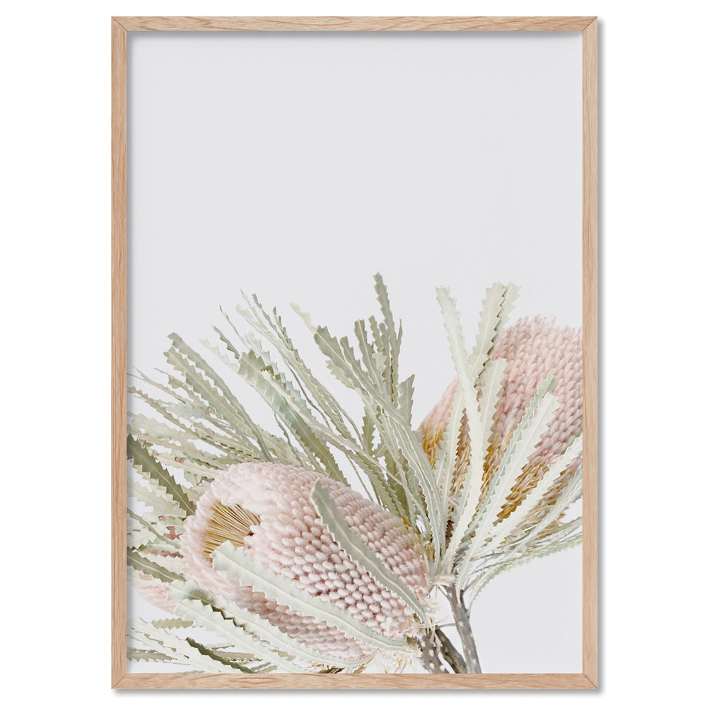 Pastel Banksias Blush I - Art Print, Poster, Stretched Canvas, or Framed Wall Art Print, shown in a natural timber frame
