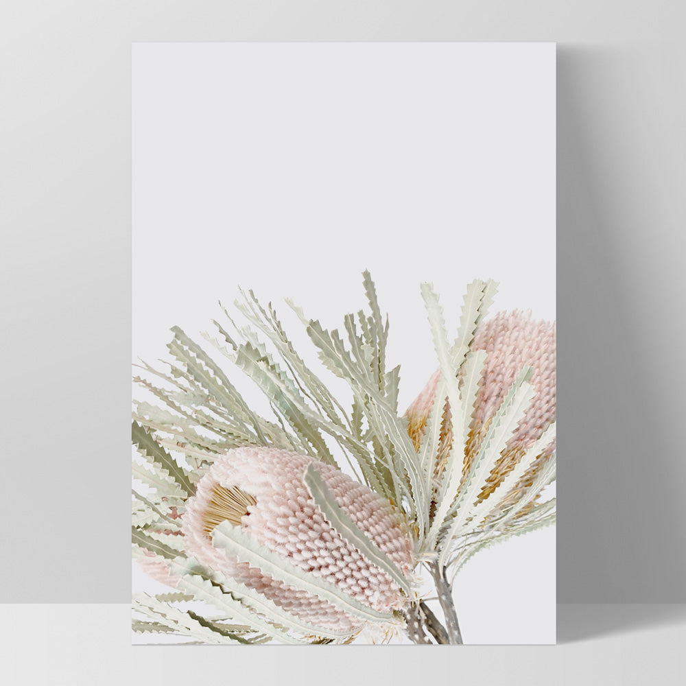 Pastel Banksias Blush I - Art Print, Poster, Stretched Canvas, or Framed Wall Art Print, shown as a stretched canvas or poster without a frame