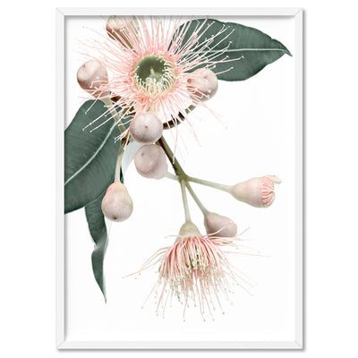 Flowering Eucalyptus in Blush II - Art Print, Poster, Stretched Canvas, or Framed Wall Art Print, shown in a white frame