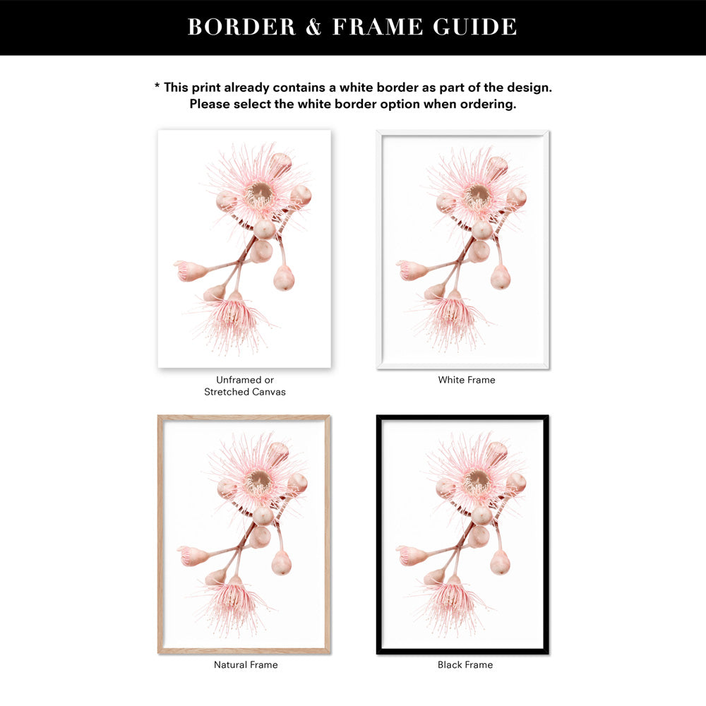 Blushing Gumtree Blossom - Art Print, Poster, Stretched Canvas or Framed Wall Art, Showing White , Black, Natural Frame Colours, No Frame (Unframed) or Stretched Canvas, and With or Without White Borders