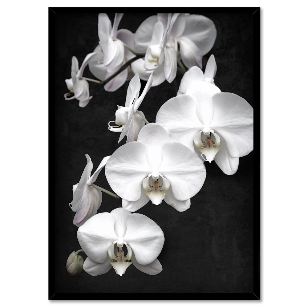 Orchid Blooms on Dark - Art Print, Poster, Stretched Canvas, or Framed Wall Art Print, shown in a black frame