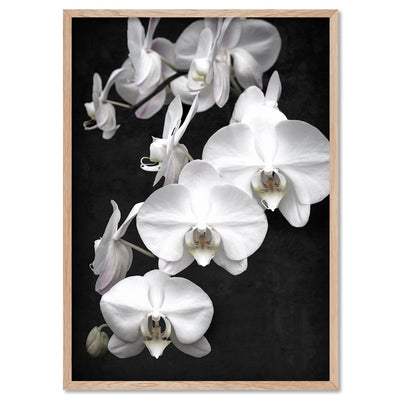 Orchid Blooms on Dark - Art Print, Poster, Stretched Canvas, or Framed Wall Art Print, shown in a natural timber frame