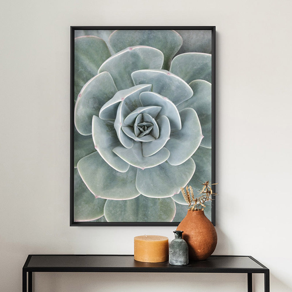Succulent IV - Art Print, Poster, Stretched Canvas or Framed Wall Art Prints, shown framed in a room