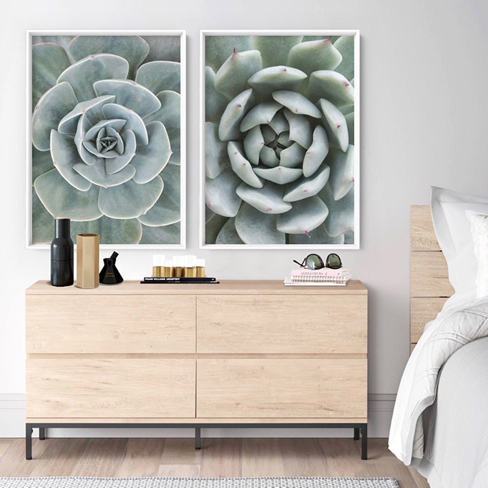 Succulent IV - Art Print, Poster, Stretched Canvas or Framed Wall Art, shown framed in a home interior space