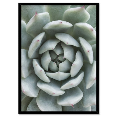 Succulent III - Art Print, Poster, Stretched Canvas, or Framed Wall Art Print, shown in a black frame