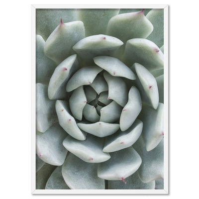 Succulent III - Art Print, Poster, Stretched Canvas, or Framed Wall Art Print, shown in a white frame
