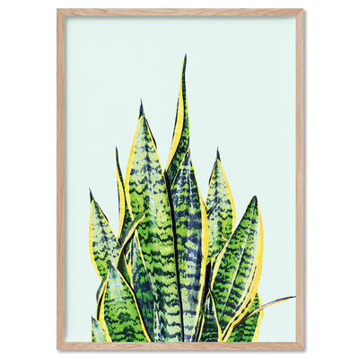 Cactus Succulent Snake Plant - Art Print, Poster, Stretched Canvas, or Framed Wall Art Print, shown in a natural timber frame