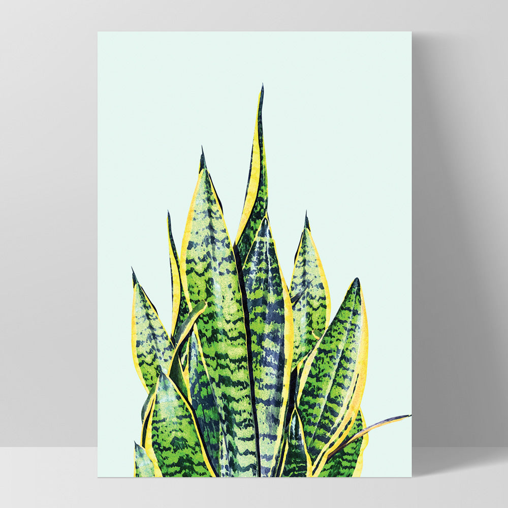 Cactus Succulent Snake Plant - Art Print, Poster, Stretched Canvas, or Framed Wall Art Print, shown as a stretched canvas or poster without a frame