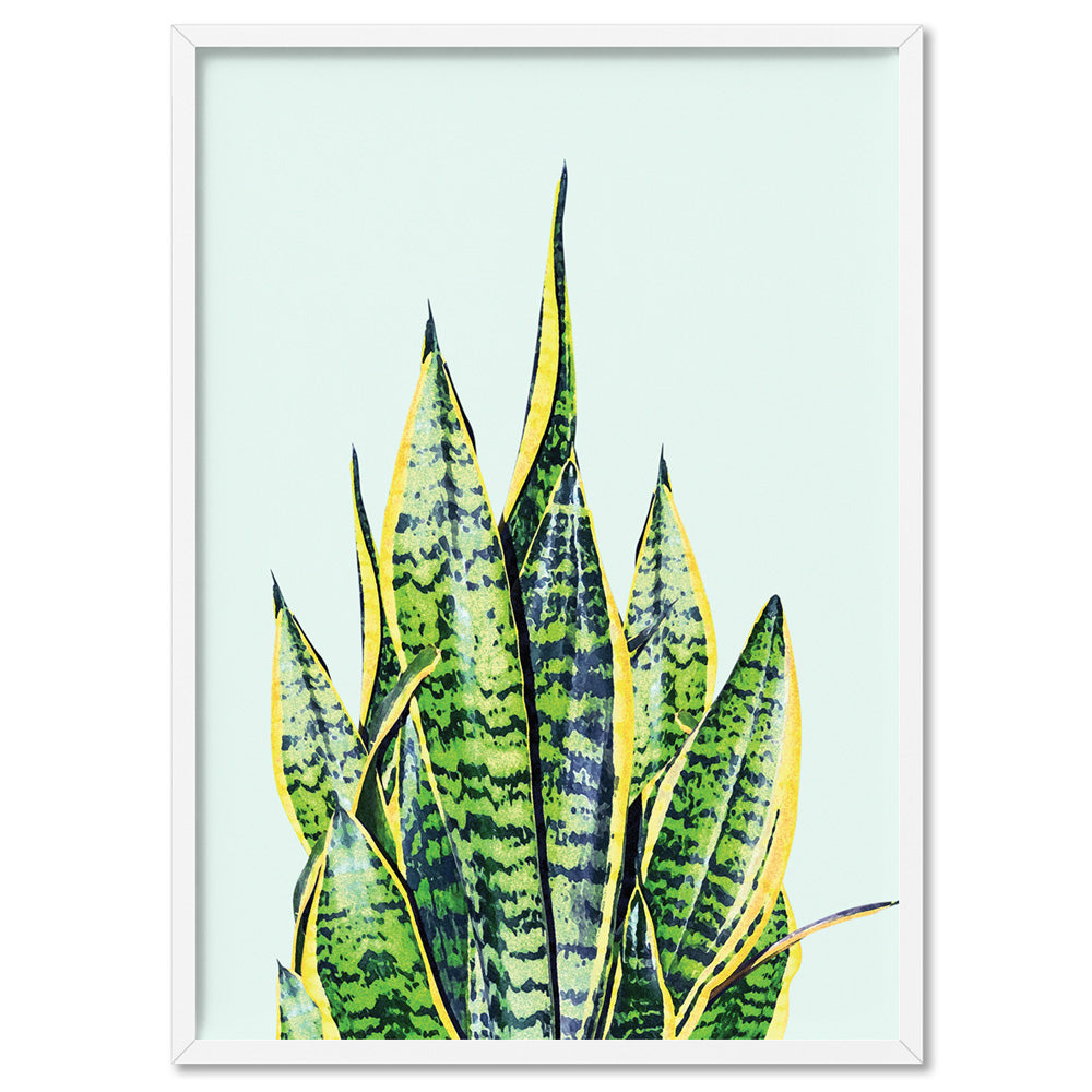 Cactus Succulent Snake Plant - Art Print, Poster, Stretched Canvas, or Framed Wall Art Print, shown in a white frame