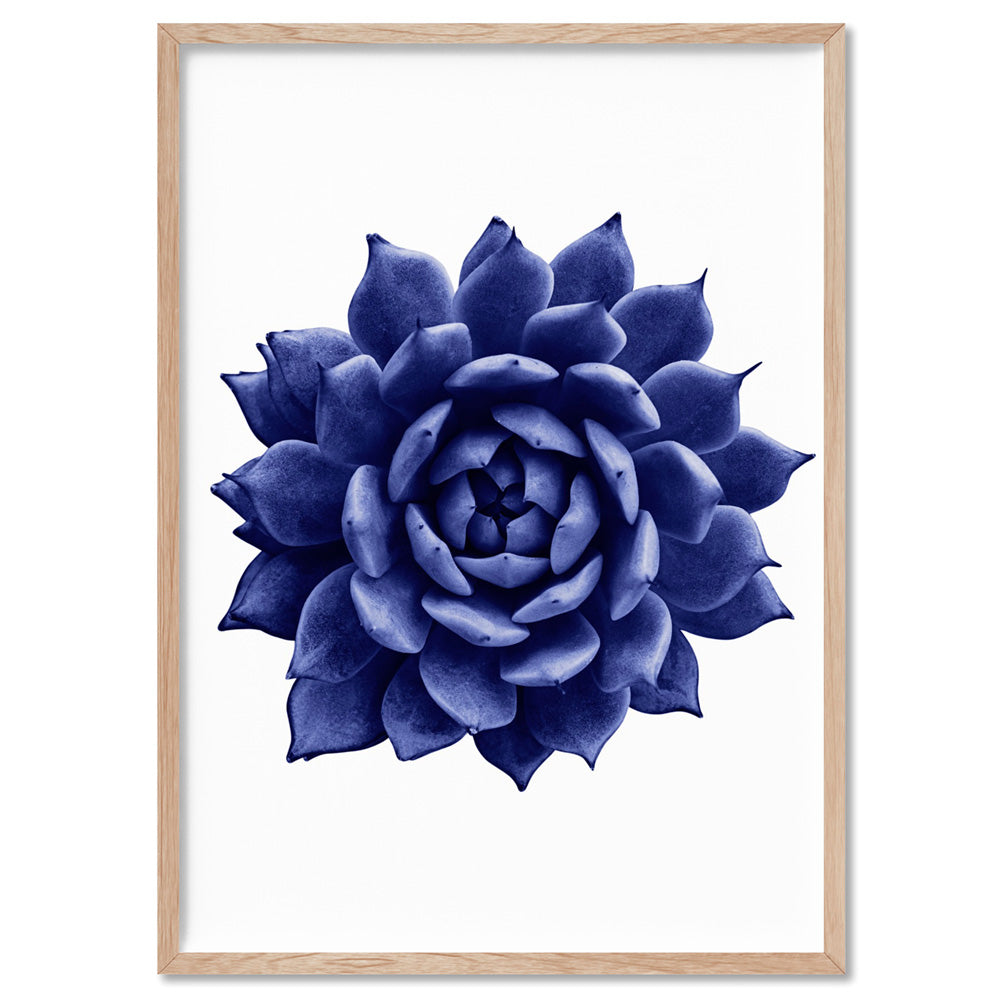 Indigo Succulent I - Art Print, Poster, Stretched Canvas, or Framed Wall Art Print, shown in a natural timber frame