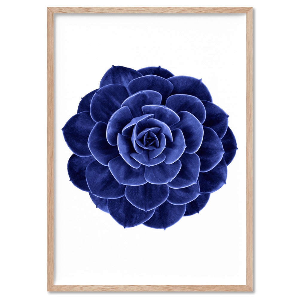 Indigo Succulent II - Art Print, Poster, Stretched Canvas, or Framed Wall Art Print, shown in a natural timber frame