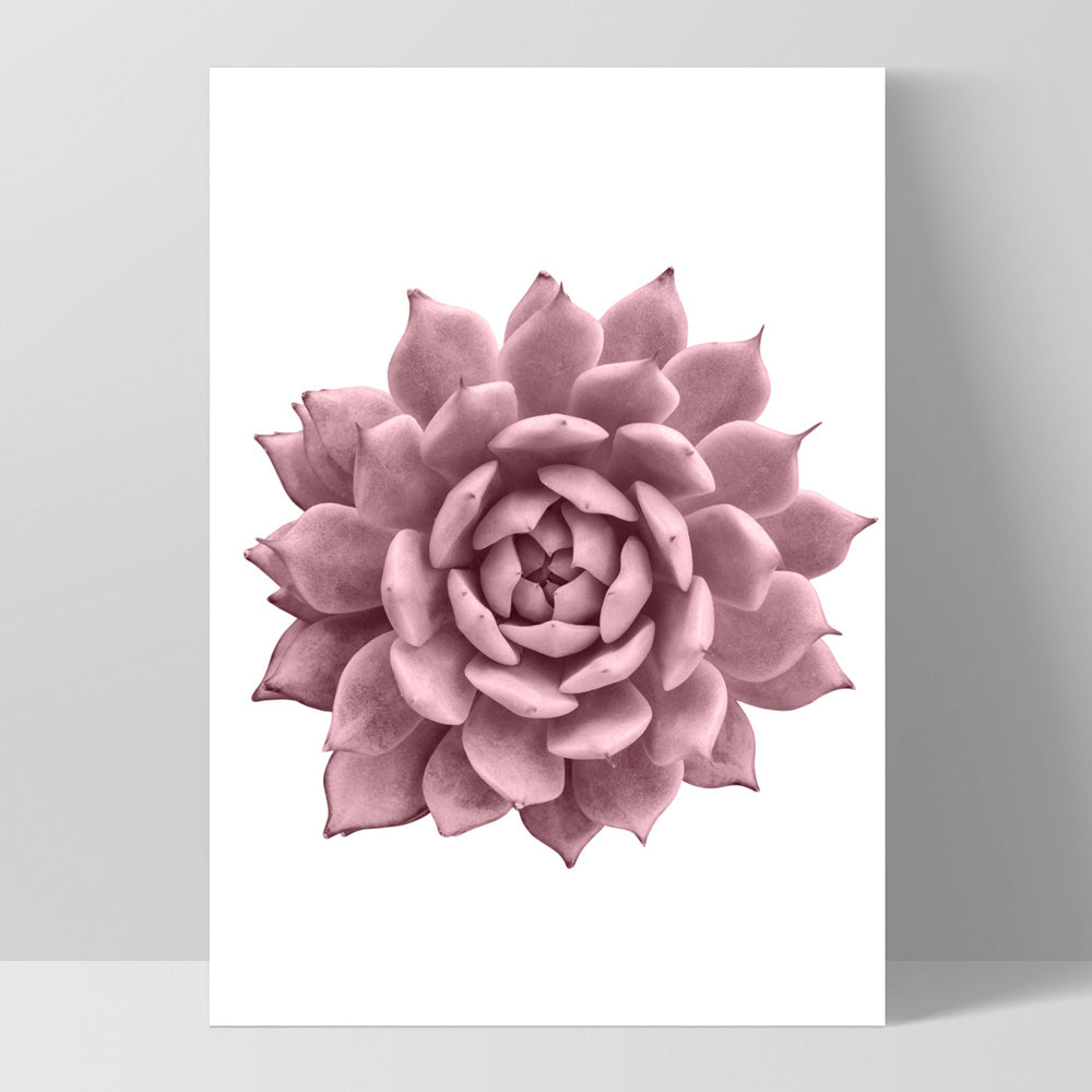Blush Succulent I - Art Print, Poster, Stretched Canvas, or Framed Wall Art Print, shown as a stretched canvas or poster without a frame