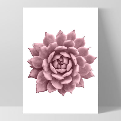 Blush Succulent I - Art Print, Poster, Stretched Canvas, or Framed Wall Art Print, shown as a stretched canvas or poster without a frame