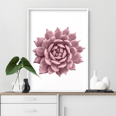 Blush Succulent I - Art Print, Poster, Stretched Canvas or Framed Wall Art Prints, shown framed in a room
