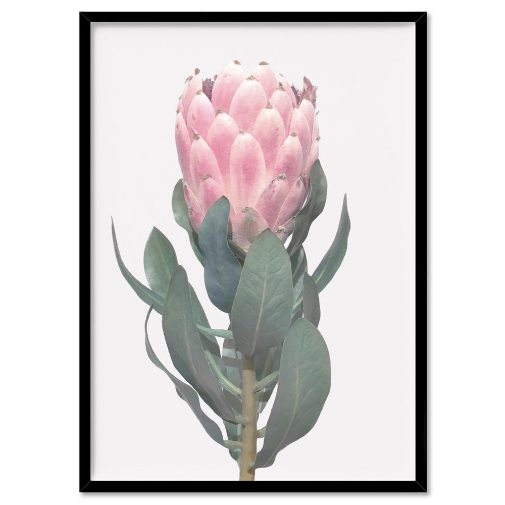 Queen Protea Vintage Portrait - Art Print, Poster, Stretched Canvas, or Framed Wall Art Print, shown in a black frame