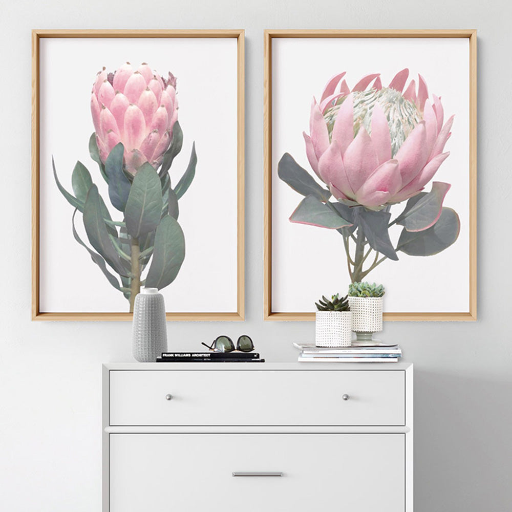 Queen Protea Vintage Portrait - Art Print, Poster, Stretched Canvas or Framed Wall Art, shown framed in a home interior space