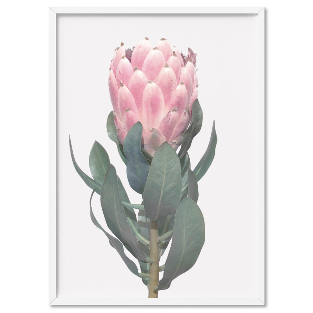Queen Protea Vintage Portrait - Art Print, Poster, Stretched Canvas, or Framed Wall Art Print, shown in a white frame