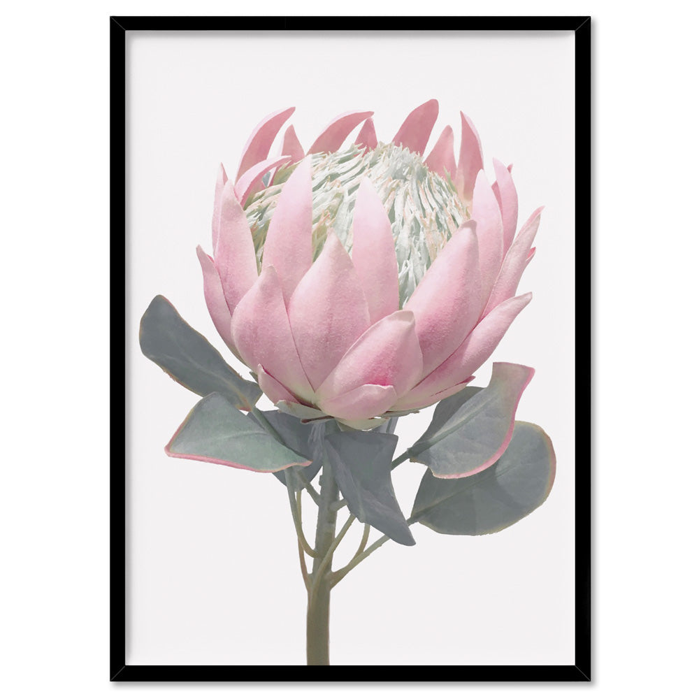King Protea Vintage Portrait - Art Print, Poster, Stretched Canvas, or Framed Wall Art Print, shown in a black frame