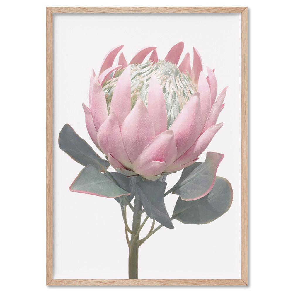 King Protea Vintage Portrait - Art Print, Poster, Stretched Canvas, or Framed Wall Art Print, shown in a natural timber frame