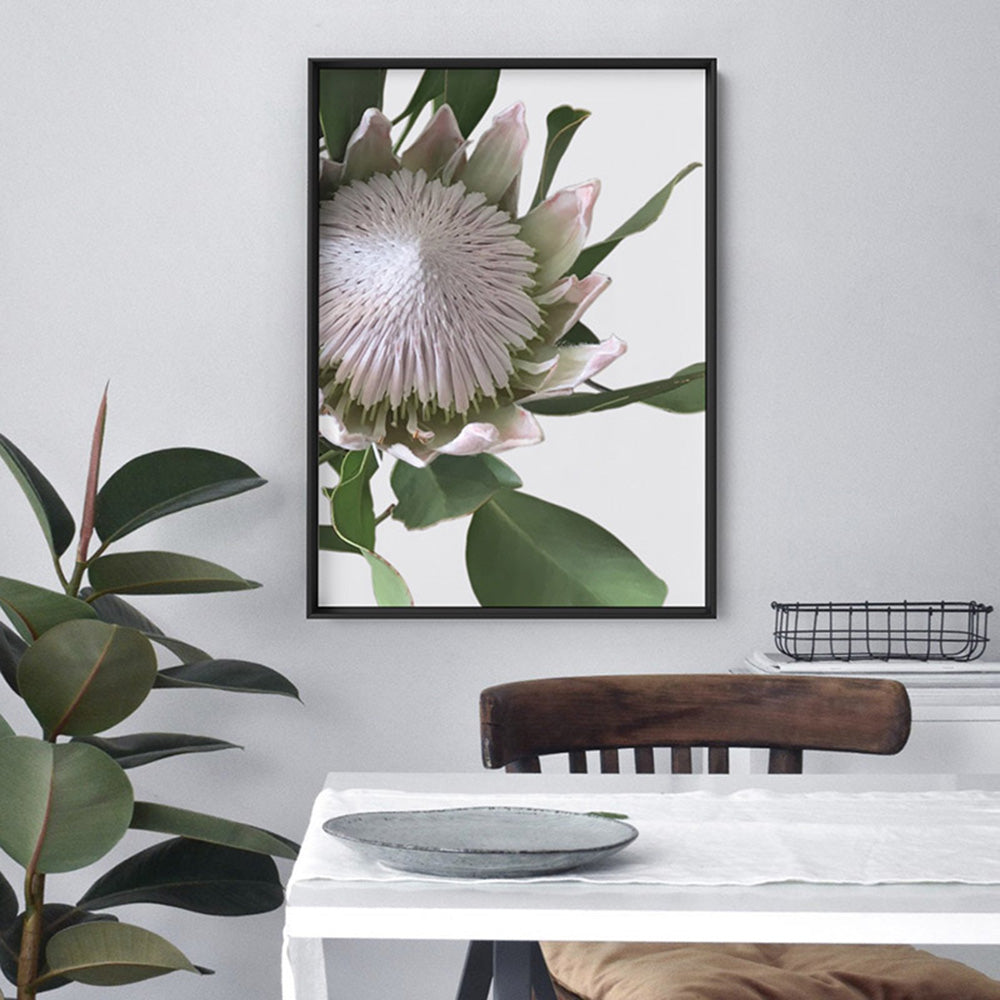 King Protea White - Art Print, Poster, Stretched Canvas or Framed Wall Art Prints, shown framed in a room