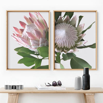 King Protea White - Art Print, Poster, Stretched Canvas or Framed Wall Art, shown framed in a home interior space