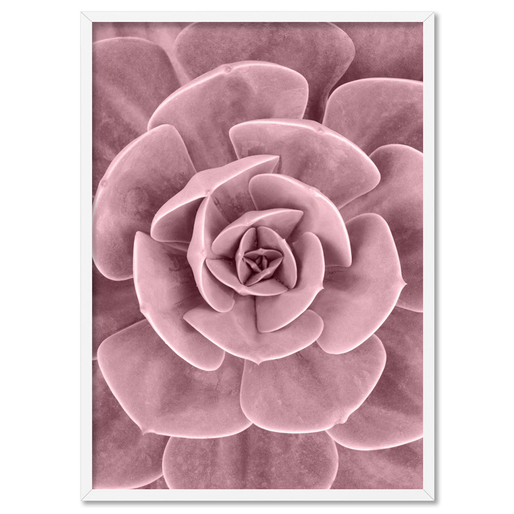 Blush Succulent III - Art Print, Poster, Stretched Canvas, or Framed Wall Art Print, shown in a white frame