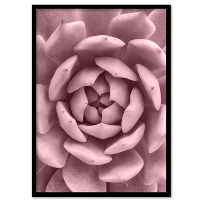 Blush Succulent IV - Art Print, Poster, Stretched Canvas, or Framed Wall Art Print, shown in a black frame