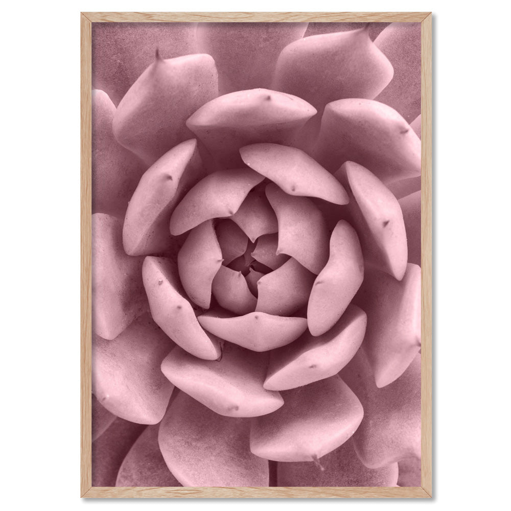 Blush Succulent IV - Art Print, Poster, Stretched Canvas, or Framed Wall Art Print, shown in a natural timber frame