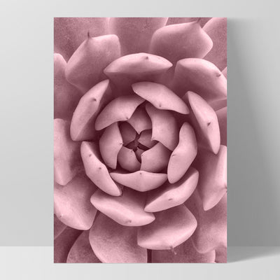 Blush Succulent IV - Art Print, Poster, Stretched Canvas, or Framed Wall Art Print, shown as a stretched canvas or poster without a frame