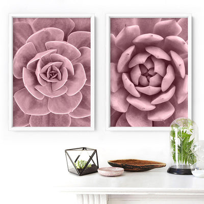 Blush Succulent IV - Art Print, Poster, Stretched Canvas or Framed Wall Art, shown framed in a home interior space